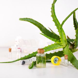 Estratto di radice di ortica